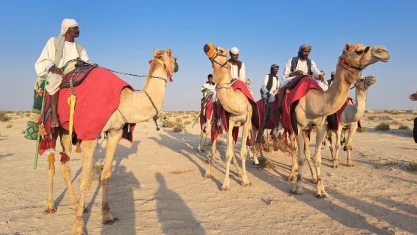 مليونا بذرة تُنثر في بحيرة الأصفر احتفاءً بـ ”عام الحرف اليدوية“