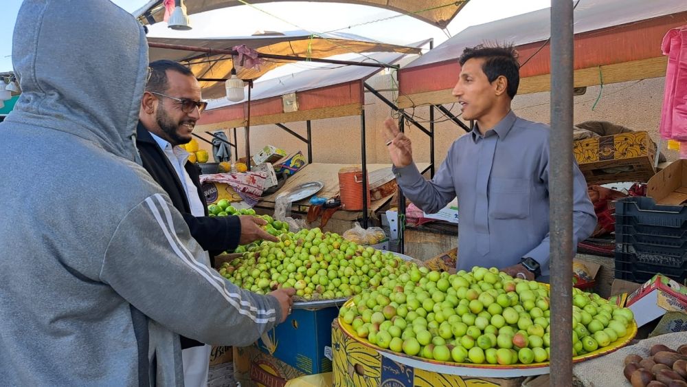 الأحساء.. المنتجات الزراعية الشتوية تجذب الأهالي من داخل المملكة ودول الخليج