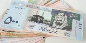 سعر الريال السعودي اليوم السبت 18-1-2025 - أرض المملكة