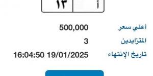 بوابة مرور مصر تطرح لوحة مميزة بـ 500 ألف جنية - أرض المملكة