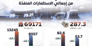 «معلومات الوزراء»: الاستثمار الأجنبي مصدر مهم للتمويل الخارجي - أرض المملكة