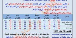 شبورة وأمطار ورياح.. تفاصيل حالة الطقس خلال الأيام المقبلة - أرض المملكة