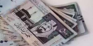 سعر الريال السعودي اليوم الثلاثاء 21-1-2025 مقابل الجنيه المصري - أرض المملكة