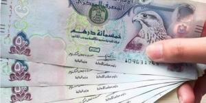 سعر الدرهم الإماراتي مقابل الجنيه المصري اليوم الإثنين 27 يناير 2025 في البنوك - أرض المملكة