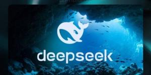 أول ردود فعل أوروبية سلبية تجاه التطبيق الصيني DeepSeek - أرض المملكة