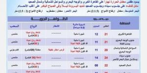 بسبب هذه الظاهرة.. بيان عاجل من الأرصاد بشأن حالة الطقس اليوم الجمعة 31 يناير 2025 - أرض المملكة