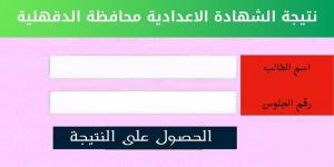 كيفية الحصول على نتيجة الشهادة الإعدادية لمحافظة الدقهلية.. 7 خطوات - أرض المملكة