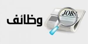 بمرتبات تصل إلى 3600 ريال.. تفاصيل وظائف المصريين في السعودية 2025 - أرض المملكة