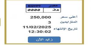 ربع مليون جنيه.. «المرور» تطرح التزايد على لوحة سيارة مميزة - أرض المملكة