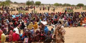 الاتحاد الإفريقي: الحرب السودانية أسوأ أزمة إنسانية في العالم - أرض المملكة