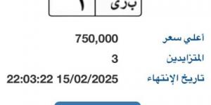 بوابة مرور مصر الإلكترونية تطرح لوحة مميزة بـ 750 ألف جنيه - أرض المملكة