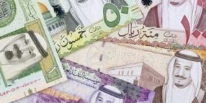 الريال السعودى يحافظ على استقراره امام الجنية بالبنوك المصرية - أرض المملكة