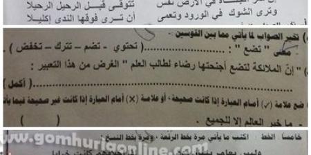 شكاوي طلاب الاعدادية بالمنوفية من صعوبة امتحان اللغة العربية - أرض المملكة