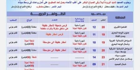 أمطار وشبورة الكثيفة.. الأرصاد تكشف حالة الطقس غدا الخميس 23 يناير 2025 - أرض المملكة