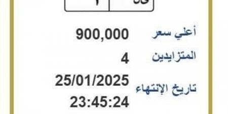 وصل سعرها إلى 900 ألف جنيه.. لوحة معدنية مميزة يتنافس عليها 4 أشخاص - أرض المملكة