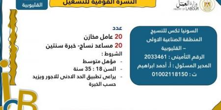 العمل: 1575 فرصة عمل للشباب في 48 شركة خاصة والتقديم خلال فبراير - أرض المملكة