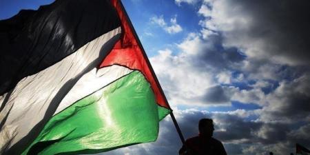 رافضًا التهجير.. جوتيريش يؤكد حق الفلسطينيين في العيش على أرضهم - أرض المملكة