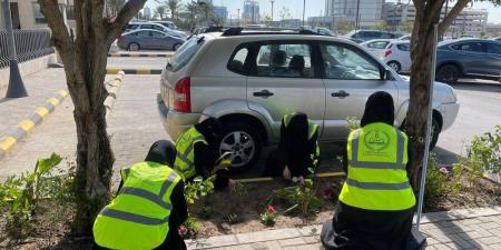 طالبات الشرقية يشاركون في "صيتاثون" لتعزيز المبادرات المجتمعية - أرض المملكة