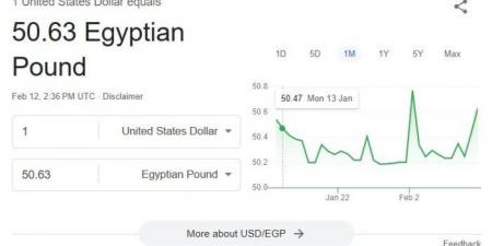 الأخضر يستقر.. سعر الدولار اليوم الأربعاء 12 فبراير 2025 في البنوك - أرض المملكة