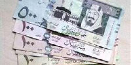 سعر الريال السعودي اليوم في مصر - أرض المملكة