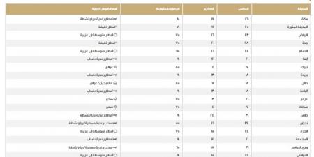 الطقس في السعودية.. اعرف درجات الحرارة على المناطق اليوم الخميس - أرض المملكة