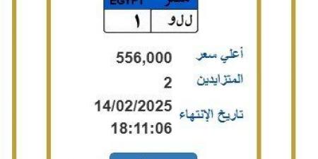 بنصف مليون جنيه.. المرور تطرح لوحة سيارات مميزة يتنافس عليها اثنين - أرض المملكة