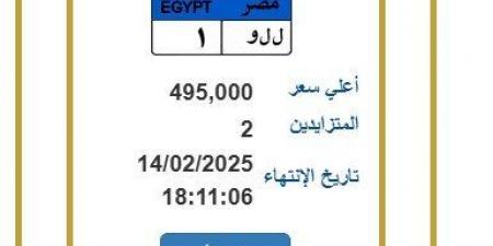 لوحة معدنية مميزة وصل سعرها 495 ألف جنيه.. آخر موعد لانتهاء المزايدة - أرض المملكة