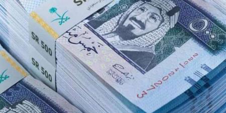 سعر الريال السعودي مقابل الجنيه اليوم السبت 22-2-2025 - أرض المملكة