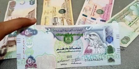 استقرار سعر لدرهم الاماراتى بالبنوك العاملة بالسوق المصرى - أرض المملكة