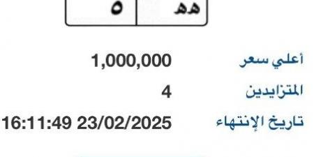 بوابة مرور مصر الإلكترونية تطرح لوحة سيارة بمليون جنية - أرض المملكة