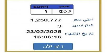 سعرها تخطي مليون جنيه.. التزايد يشتعل على لوحة سيارة مميزة «اعرف الخطوات» - أرض المملكة