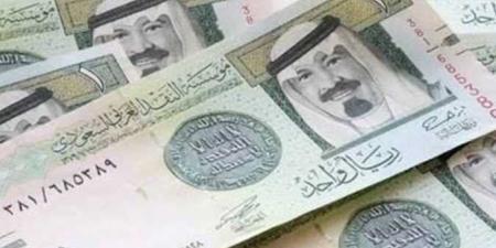 سعر الريال السعودي مقابل الجنيه اليوم الثلاثاء 25 فبراير - أرض المملكة