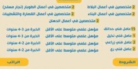 راتب يصل 390 دينار شهريًا.. وزارة العمل تعلن عن وظائف للكوادر المصرية بالأردن - أرض المملكة