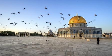 أوقاف القدس: مظلات في باحات المسجد الأقصى لحماية المصلين من البرد - أرض المملكة