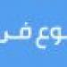 وزير الخارجية يتوجه إلى أديس أبابا لترأس وفد مصر باجتماعات المجلس التنفيذي للاتحاد الأفريقي - أرض المملكة