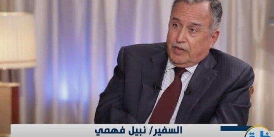 «السفير نبيل فهمي»: ترامب يريد إنهاء القضية الفلسطينية عبر حل الدولتين - أرض المملكة