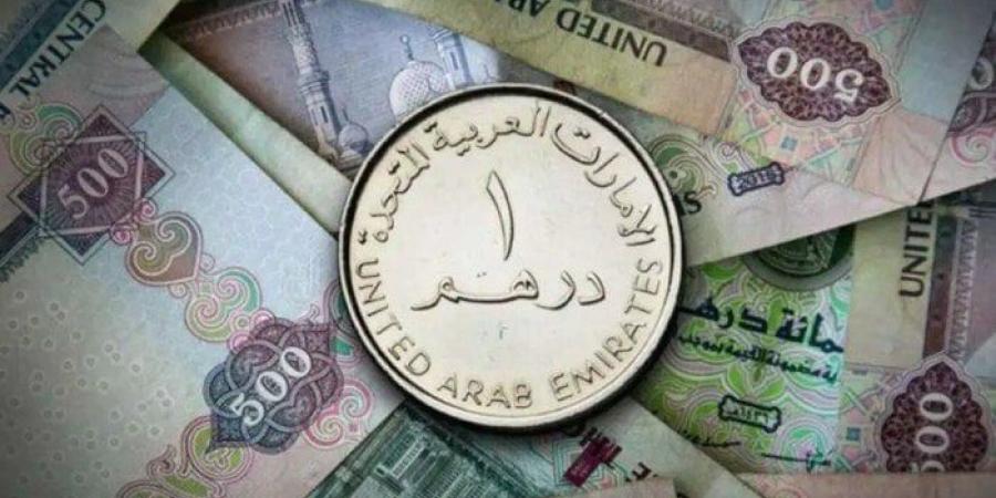 سعر الدرهم الإماراتي مقابل الجنيه اليوم الجمعة 17 يناير 2025 في البنوك.. وفقا لآخر تحديث - أرض المملكة