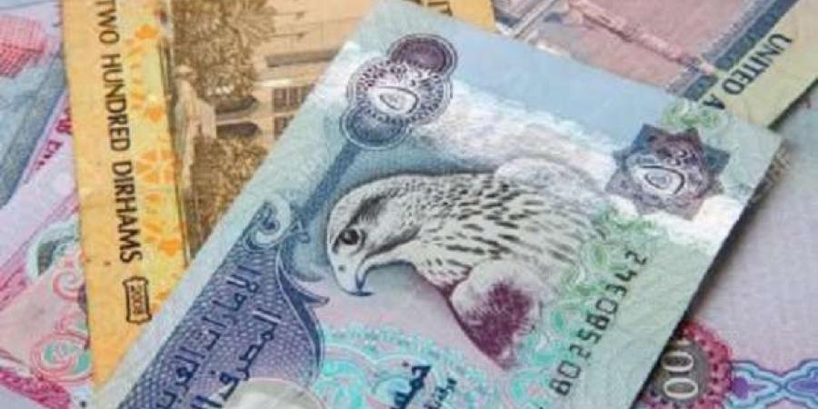 سعر الدرهم الإماراتي اليوم السبت 18-1-2025 مقابل الجنيه المصري - أرض المملكة