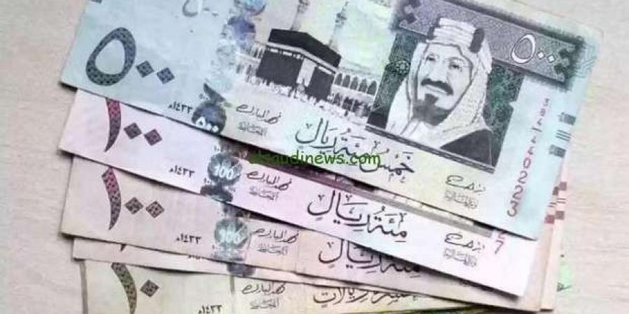 سعر الريال السعودي مقابل الجنيه المصري اليوم الأحد 19-1-2025 - أرض المملكة