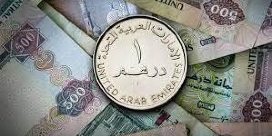 سعر الدرهم الإماراتى في مصر اليوم الأحد 19 يناير 2025 - أرض المملكة