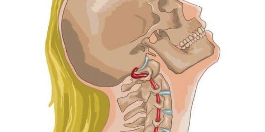 عادة شائعة في صالونات التجميل تسبب الإصابة بالسكتة الدماغية.. احذرها - أرض المملكة