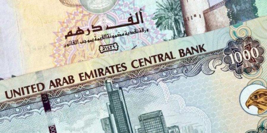 سعر الدرهم الإماراتي مقابل الجنيه المصري اليوم الأحد 19 يناير 2025 - أرض المملكة