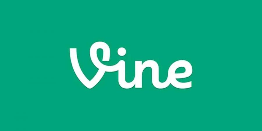 إيلون ماسك يبحث إعادة إطلاق منصة مشاركة الفيديو Vine - أرض المملكة