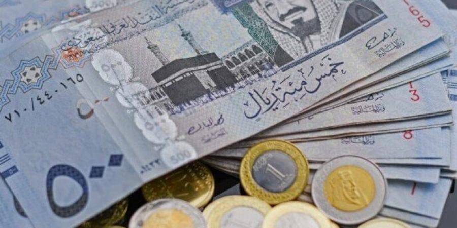 في البنك التجاري الدولي بـ 13.46 جنيه.. سعر الريال السعودي اليوم الإثنين 20 يناير 2025 - أرض المملكة