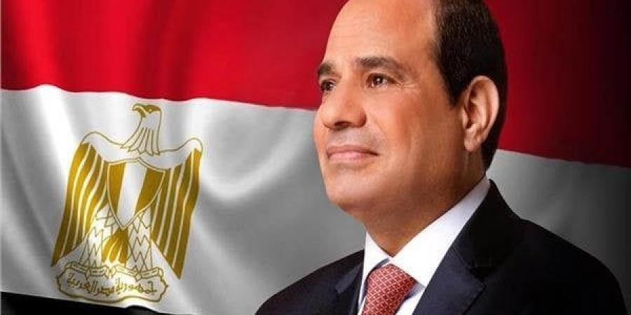 الرئيس السيسي يستعرض مع المستشار النمساوي جهود مصر لضمان تنفيذ اتفاق وقف إطلاق النار بغزة - أرض المملكة