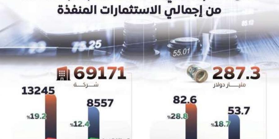 «معلومات الوزراء»: الاستثمار الأجنبي مصدر مهم للتمويل الخارجي - أرض المملكة