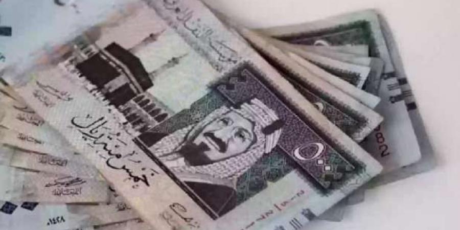 سعر الريال السعودي اليوم الثلاثاء 21-1-2025 مقابل الجنيه المصري - أرض المملكة