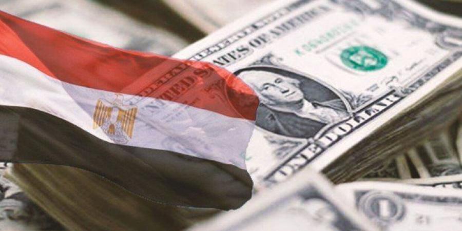 مصر تسدد 4.5 مليار دولار لشركات النفط العالمية منذ يونيو الماضي - أرض المملكة