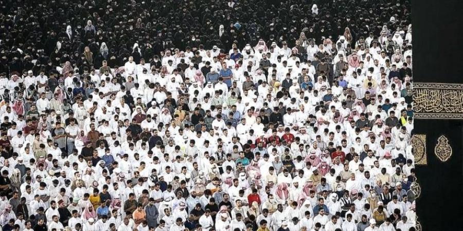 في شهر رمضان.. معايير واشتراطات مقدمي سفر الإفطار بالمسجد الحرام - أرض المملكة