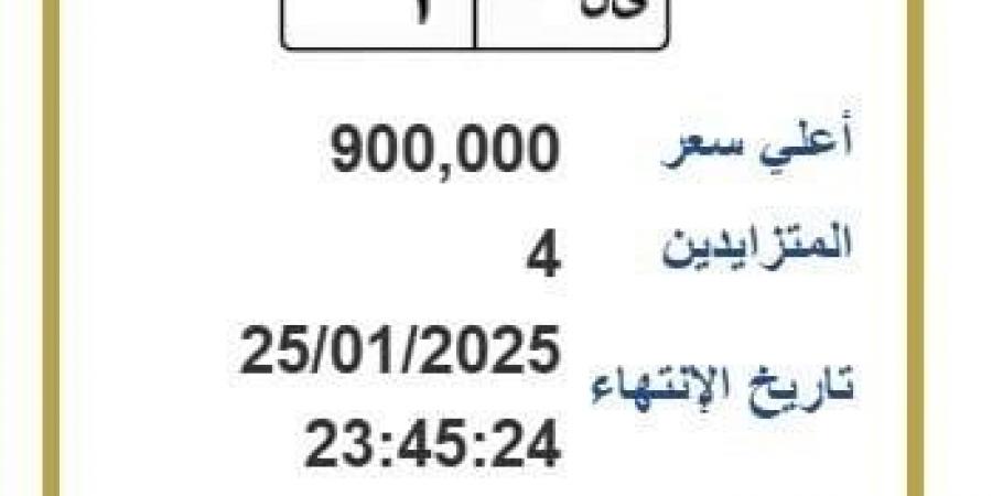 وصل سعرها إلى 900 ألف جنيه.. لوحة معدنية مميزة يتنافس عليها 4 أشخاص - أرض المملكة